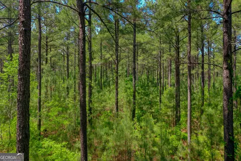 2182 Bostic Mill Rd, Bartow, GA 30413 photo 3