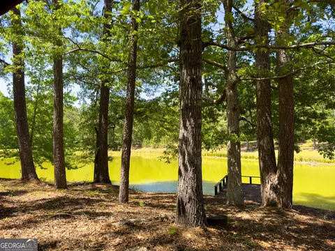2182 Bostic Mill Rd, Bartow, GA 30413 photo 16