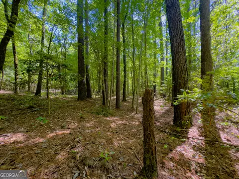 2182 Bostic Mill Rd, Bartow, GA 30413 photo 27