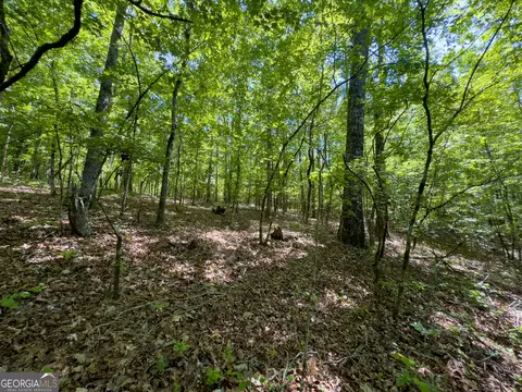 2182 Bostic Mill Rd, Bartow, GA 30413 photo 23