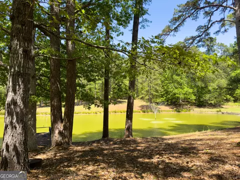 2182 Bostic Mill Rd, Bartow, GA 30413 photo 15