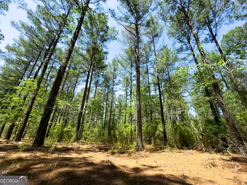 2182 Bostic Mill Rd, Bartow, GA 30413 photo 13