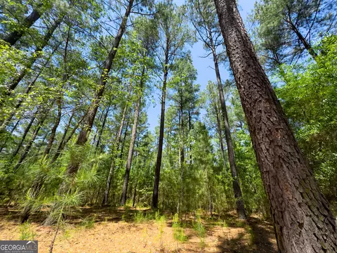2182 Bostic Mill Rd, Bartow, GA 30413 photo 12
