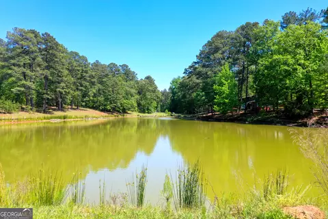 2182 Bostic Mill Rd, Bartow, GA 30413 photo 7