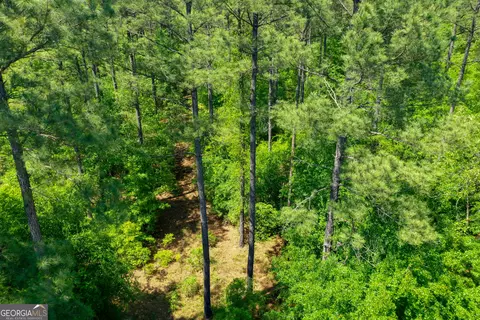 2182 Bostic Mill Rd, Bartow, GA 30413 photo 9
