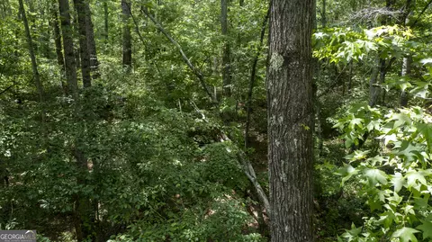 0 Rocky Mount Rd, Greenville, GA 30222