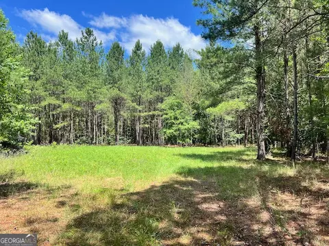 87 12 Ac Salter Rd, Davisboro, GA 31018