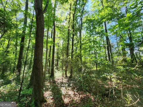 0 Russell Rd #TRACT 2, Milner, GA 30257