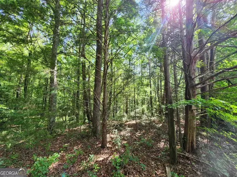 0 Russell Rd #TRACT 3, Milner, GA 30257