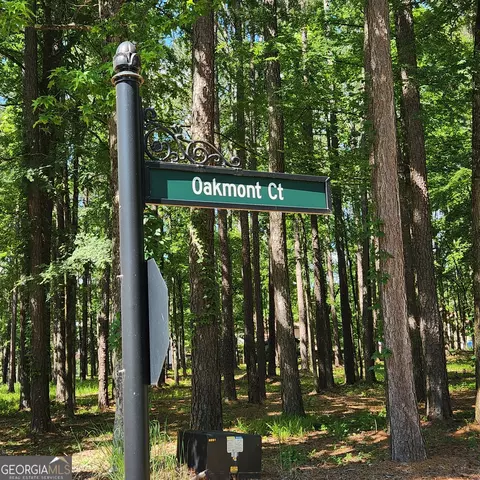 1051 Oakmont Ct, Greensboro, GA 30642