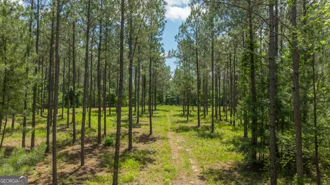 lot3 Covey Cove Dr, Dawson, GA 39842