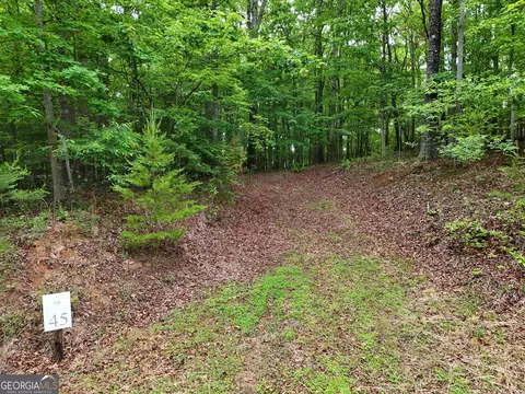 Lot 45 Cascading Brook Lane, Blue Ridge, GA 30513
