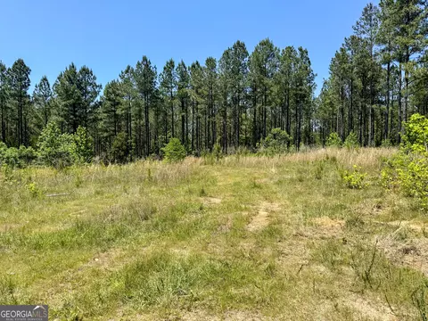 0 George Smith Rd, Talbotton, GA 31827