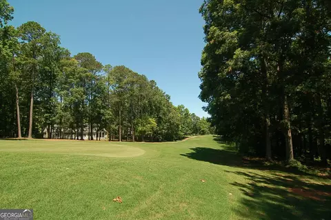 1741 Osprey Poynte, Greensboro, GA 30642