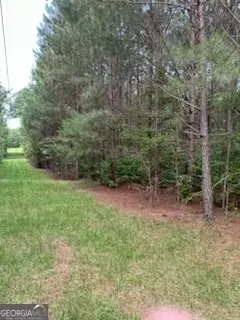0 Kimbrough Rd, Lagrange, GA 30240 photo 6