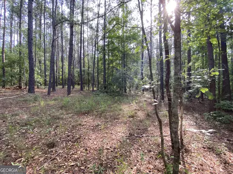 9 E-rd Ls-8, Cochran, GA 31014 photo 7