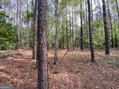 9 E-rd Ls-8, Cochran, GA 31014 photo 13