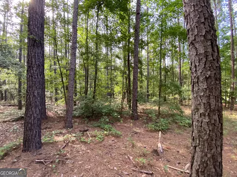 9 E-rd Ls-8, Cochran, GA 31014 photo 17