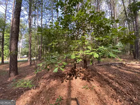 9 E-rd Ls-8, Cochran, GA 31014 photo 9