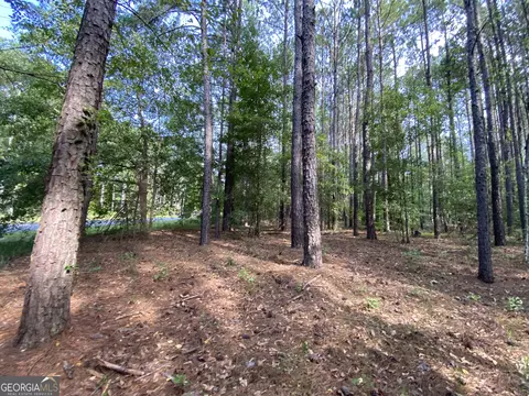 9 E-rd Ls-8, Cochran, GA 31014 photo 14