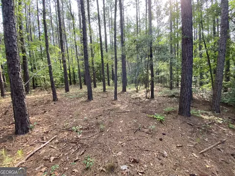 9 E-rd Ls-8, Cochran, GA 31014 photo 5