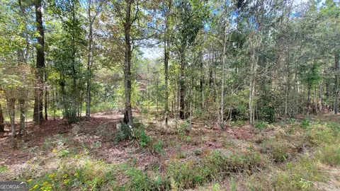 591 Victory Cir, Lyons, GA 30436 photo 3