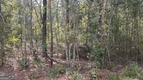 591 Victory Cir, Lyons, GA 30436 photo 4
