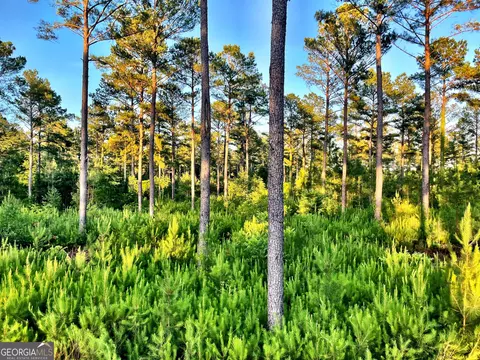 4 Duke Rd, Perry, GA 31069