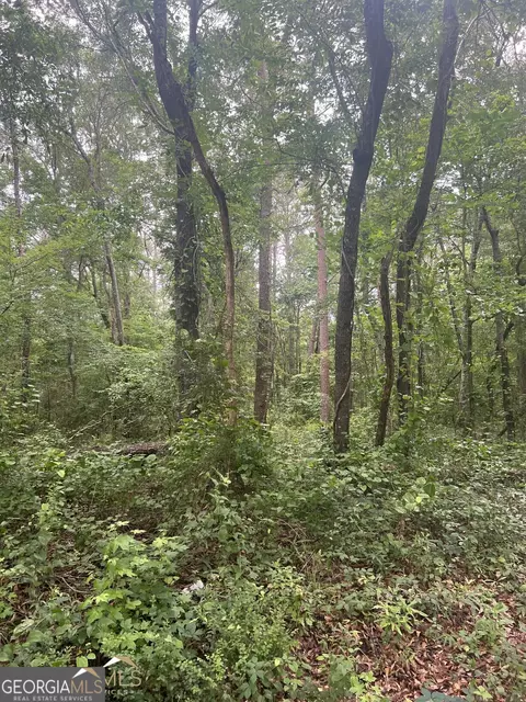 2140 Dry Pond Rd #TRACT 3, Monroe, GA 30656