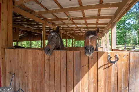 882 Hall Rd, Hampton, GA 30228 photo 55