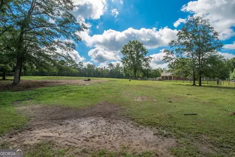 882 Hall Rd, Hampton, GA 30228 photo 67