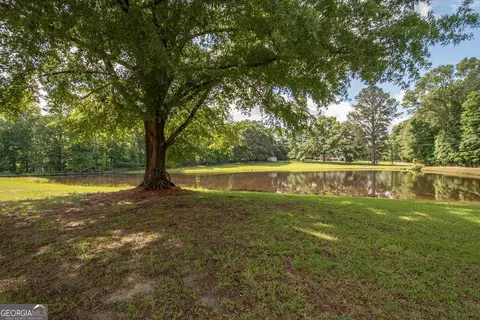 882 Hall Rd, Hampton, GA 30228 photo 66