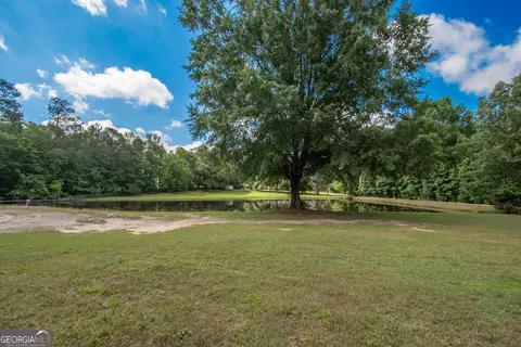 882 Hall Rd, Hampton, GA 30228 photo 64