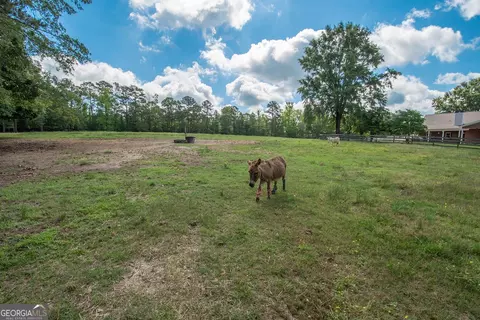 882 Hall Rd, Hampton, GA 30228 photo 68
