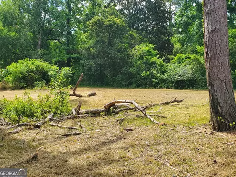 0 Ash St, Haddock, GA 31033 photo 3