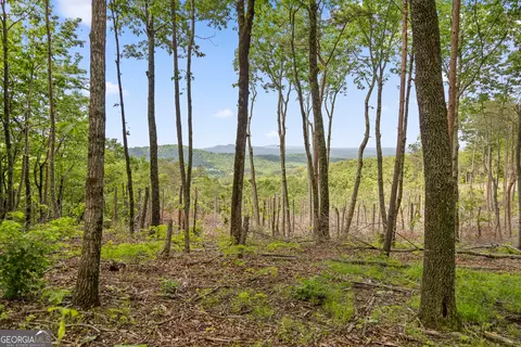 lot394 Double Oak Trl, Talking Rock, GA 30175