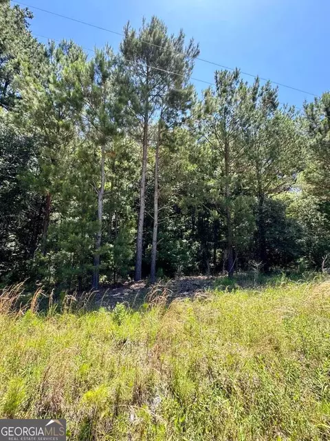 0 Harvey Rd, Brooklet, GA 30415 photo 2