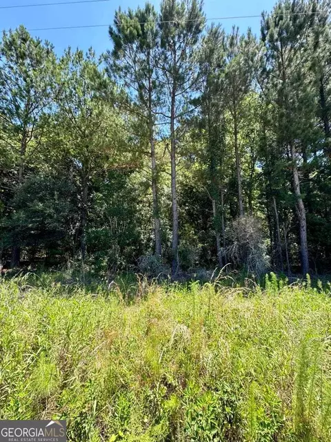 0 Harvey Rd, Brooklet, GA 30415 photo 3