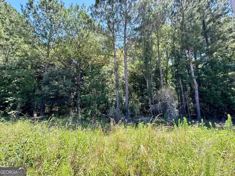 0 Harvey Rd, Brooklet, GA 30415 photo 4