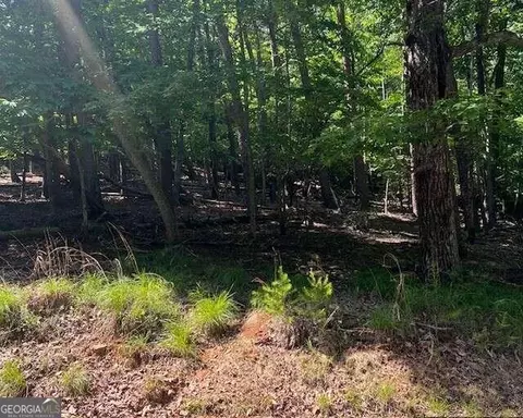 1121 Oglethorpe Mountain Rd, Jasper, GA 30143