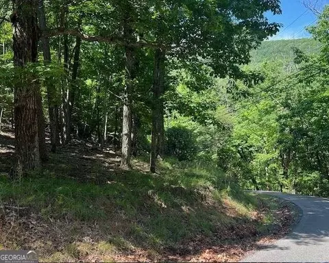 1121 Oglethorpe Mountain Rd, Jasper, GA 30143 photo 4