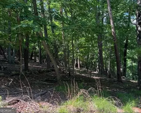 1121 Oglethorpe Mountain Rd, Jasper, GA 30143 photo 7