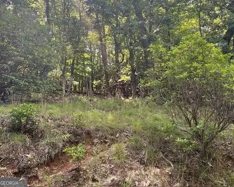 1121 Oglethorpe Mountain Rd, Jasper, GA 30143 photo 8