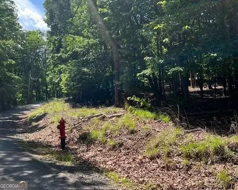 1121 Oglethorpe Mountain Rd, Jasper, GA 30143 photo 5