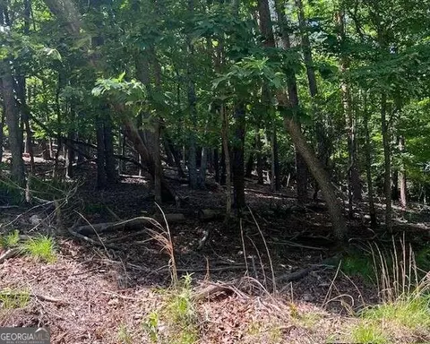 1121 Oglethorpe Mountain Rd, Jasper, GA 30143 photo 6