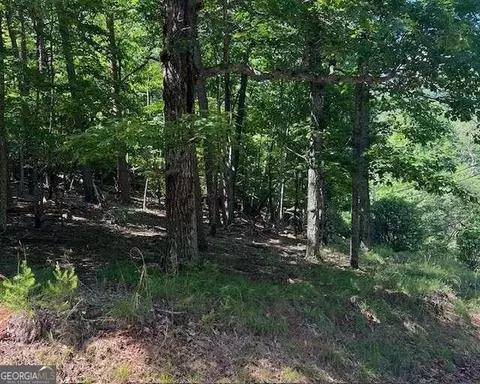 1121 Oglethorpe Mountain Rd, Jasper, GA 30143 photo 3
