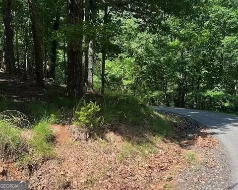 1121 Oglethorpe Mountain Rd, Jasper, GA 30143 photo 11
