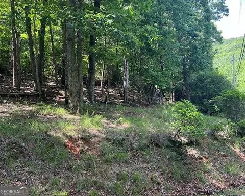 1121 Oglethorpe Mountain Rd, Jasper, GA 30143 photo 9