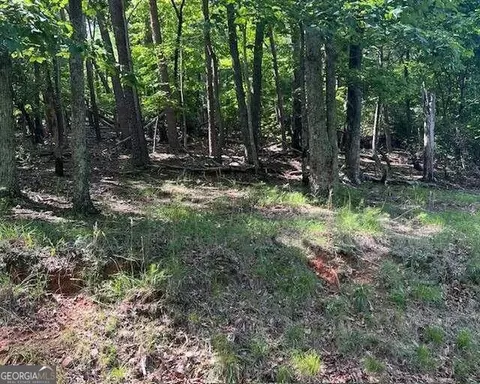 1121 Oglethorpe Mountain Rd, Jasper, GA 30143 photo 10