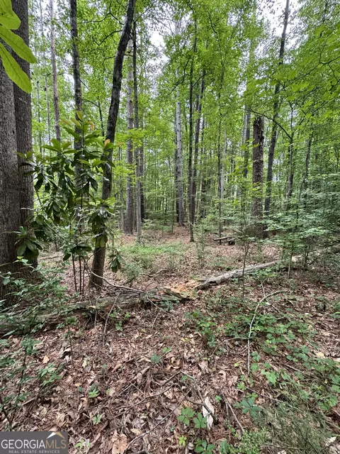 0 E Stubbs Rd, Atlanta, GA 30349